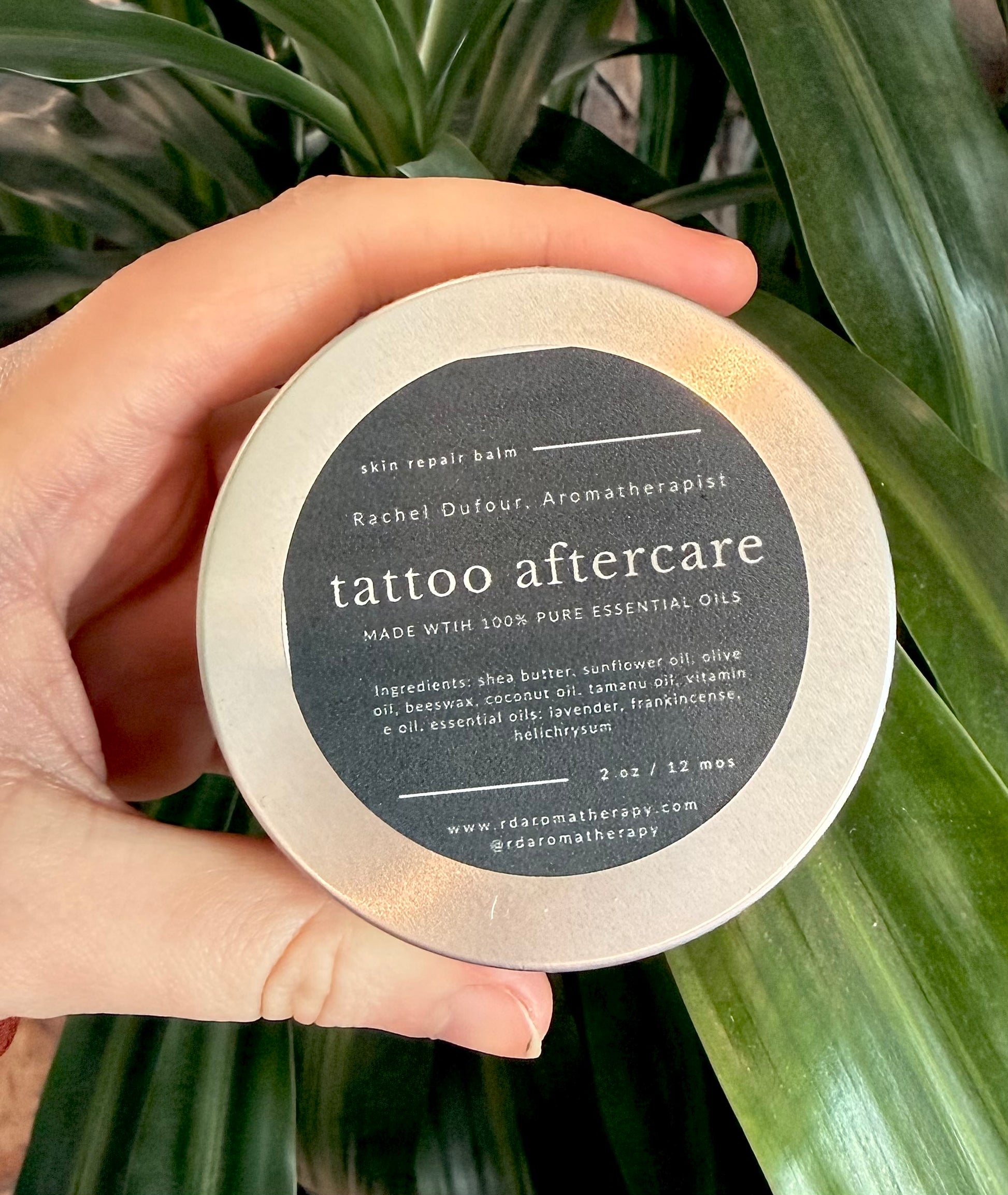 Hand holding a tattoo aftercare balm container with plant in background
