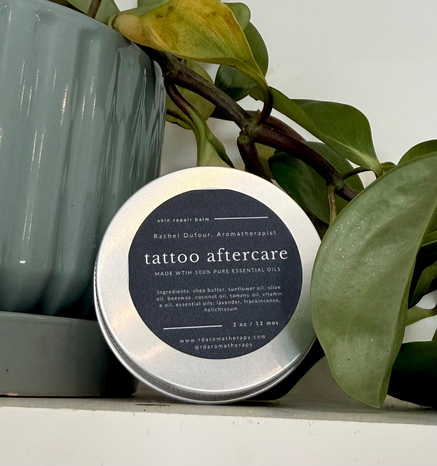 Tin of tattoo aftercare balm with a plant in the background