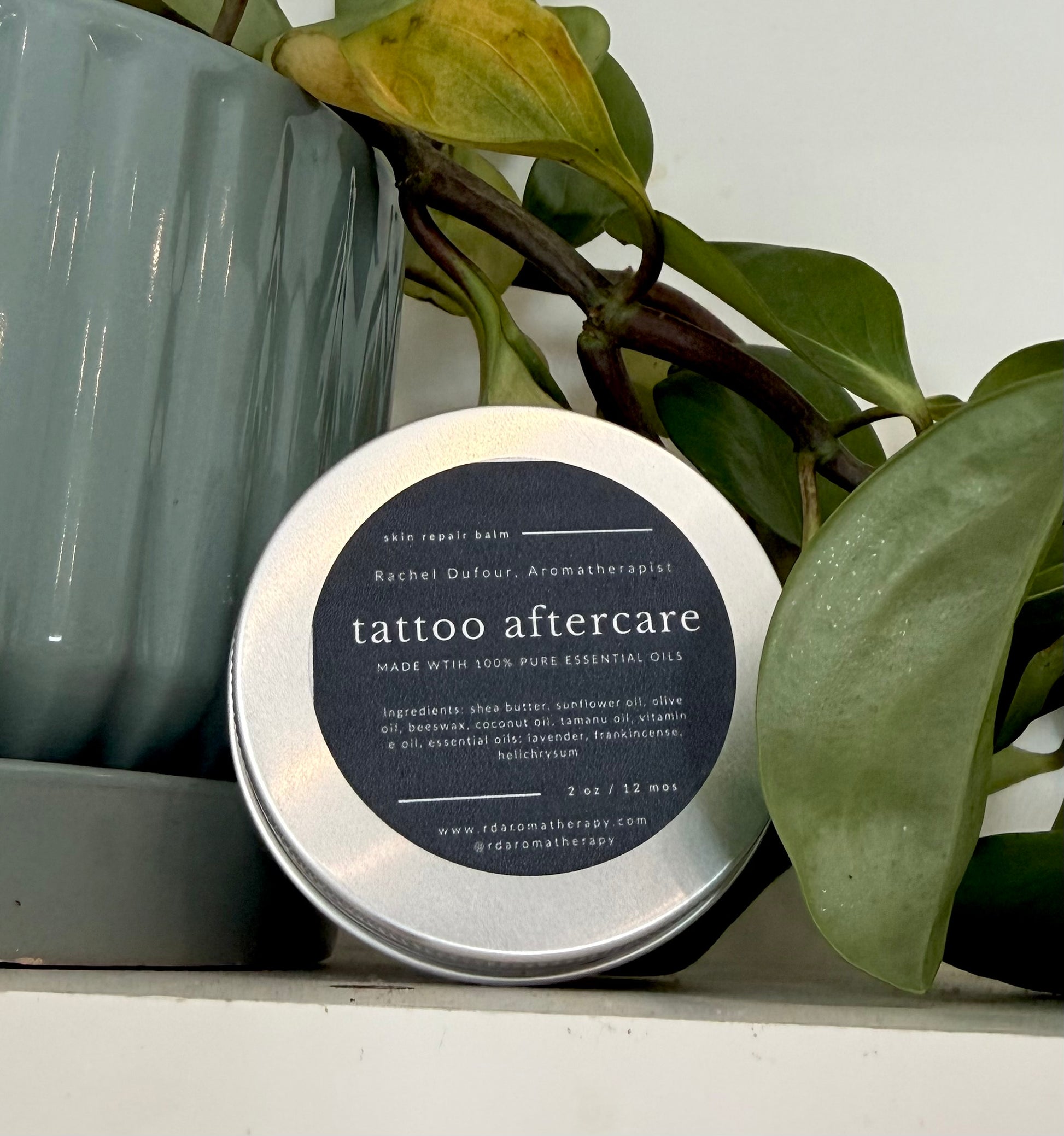 Tin of tattoo aftercare balm with a plant in the background