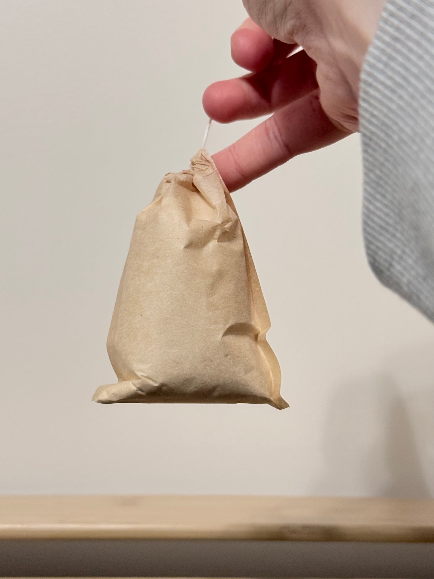 Hand holding a brown paper bag against a neutral background